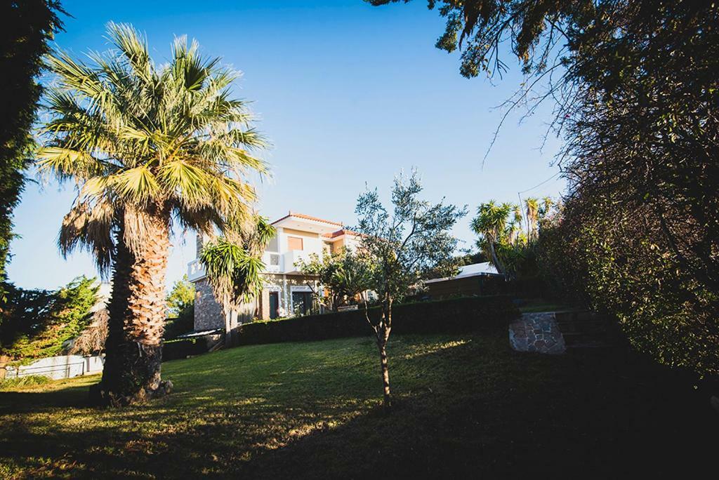 Villa Soula Anáviszosz Kültér fotó